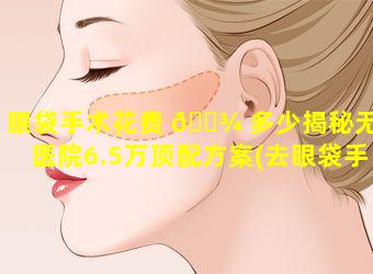 眼袋手术花费 🌾 多少揭秘无忧医院6.5万顶配方案(去眼袋手术 🐶 多少钱医院)